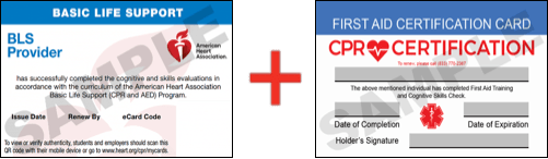 Sample American Heart Association AHA BLS CPR Card Certificaiton and First Aid Certification Card from CPR Certification Newport News