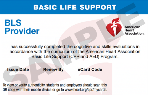 Sample American Heart Association AHA BLS CPR Card Certification from CPR Certification Newport News