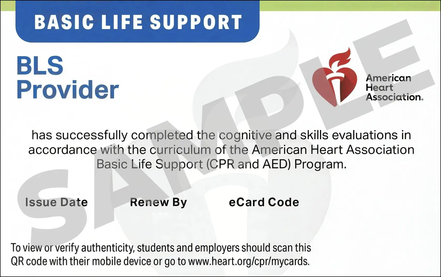 Sample American Heart Association AHA BLS CPR Card Certification from CPR Certification Newport News